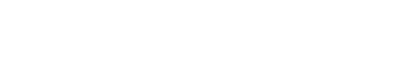MV Investment Srl